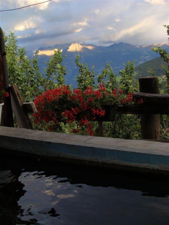 Вілла Agriturismo Lo Ratele Allein Екстер'єр фото